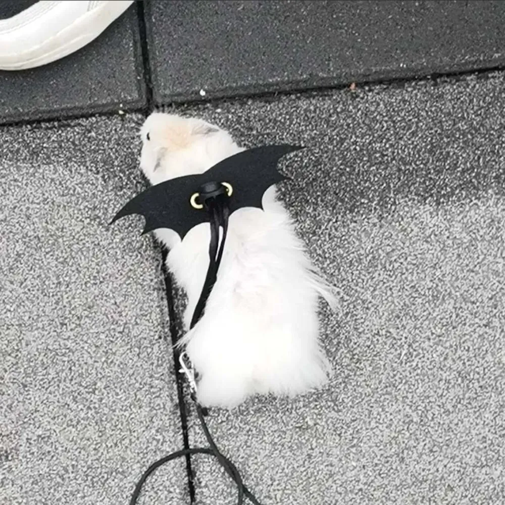 Comfortable Pet Leash