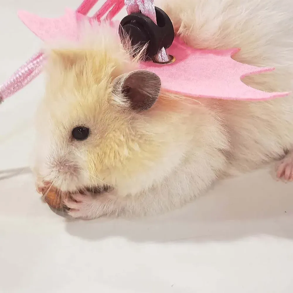 Long-Lasting Pet Leash