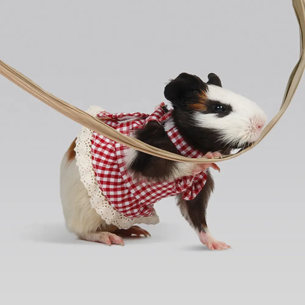 Velcro Fastening Harness
