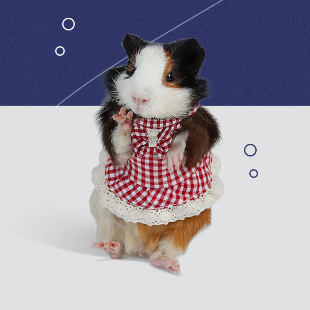 Pet Travel Easy-Adjust Harness