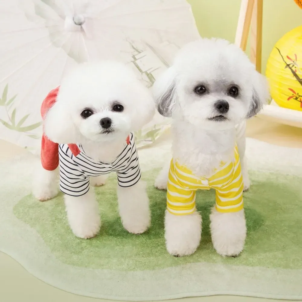 Dog Strap Pants bulk Dog Strap Pants bulk