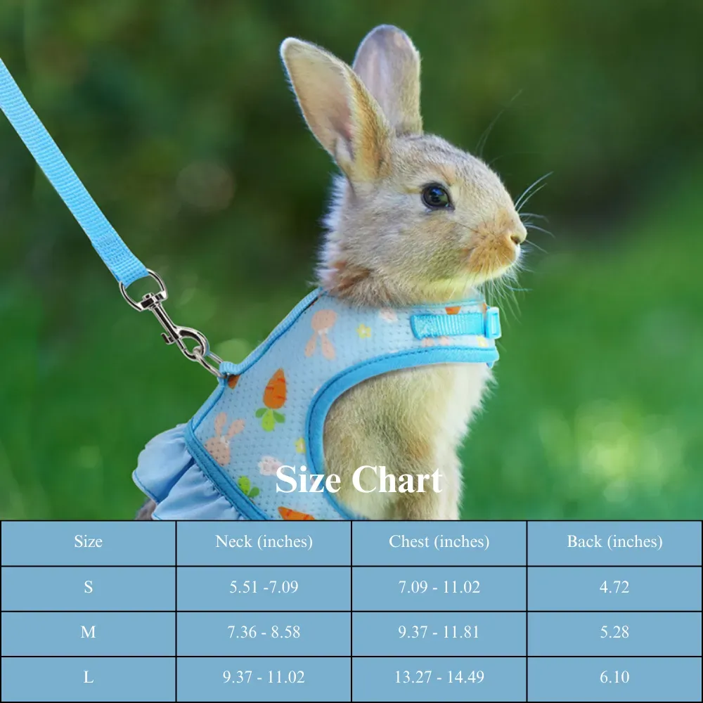 Attached Leash Harness