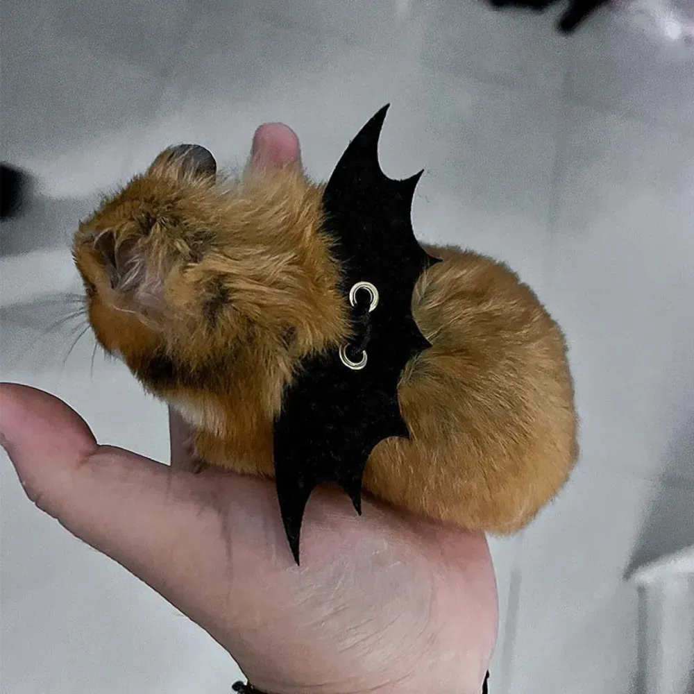 Wing Design Leash