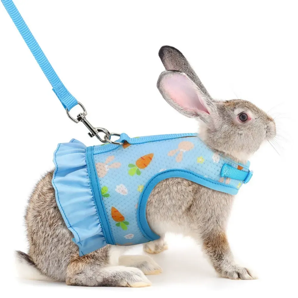 Long-Lasting Pet Harness