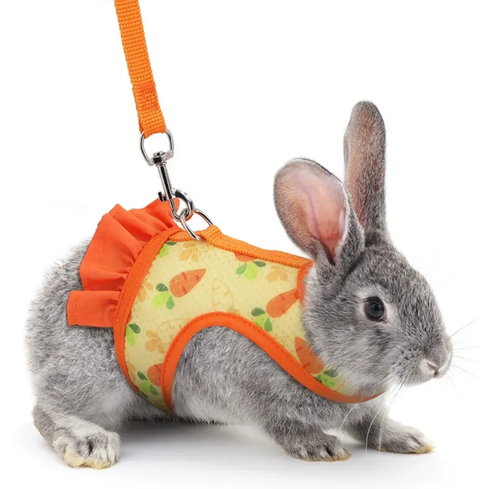 Pet Walking Harness