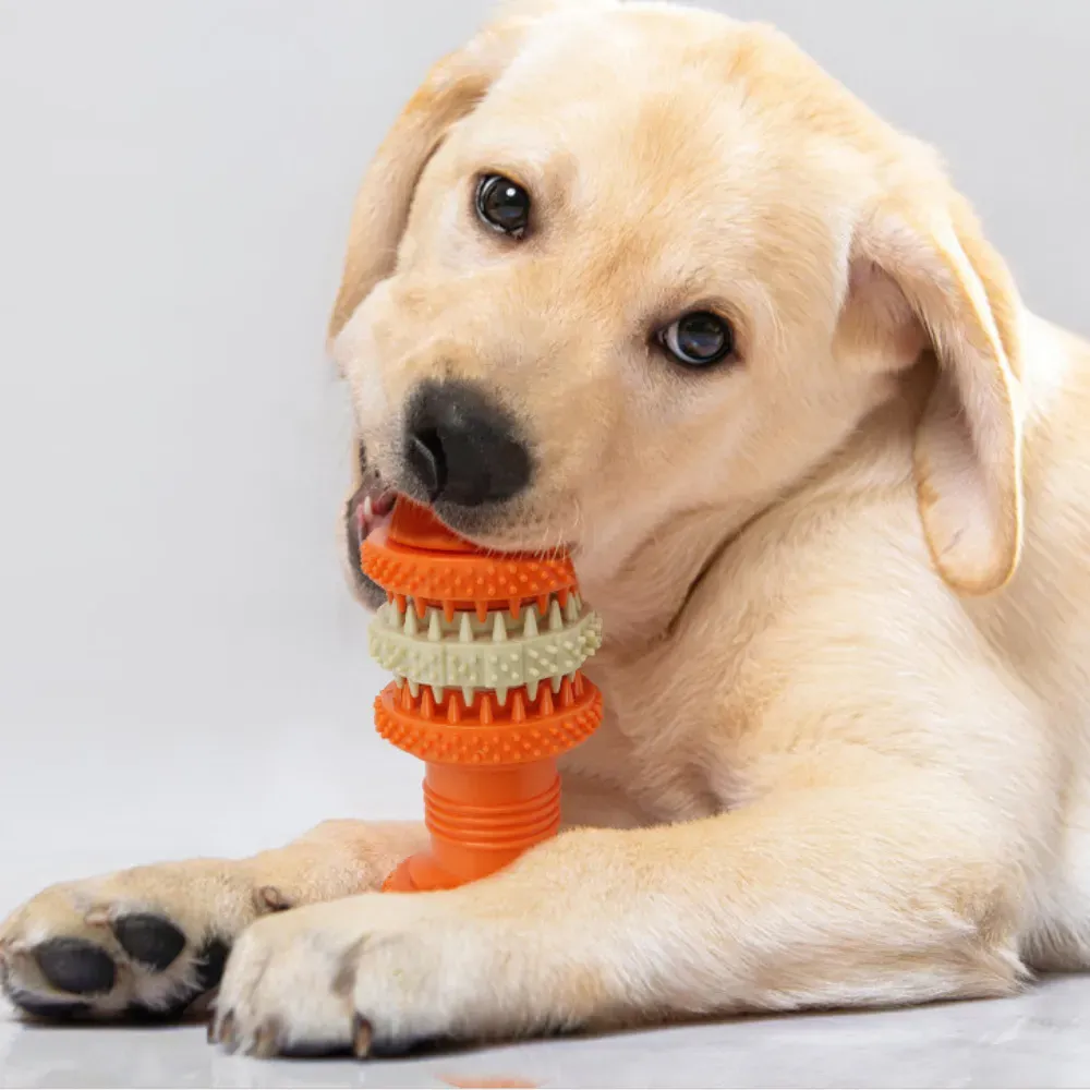 Hot Dog Chew Treat Toy Quality