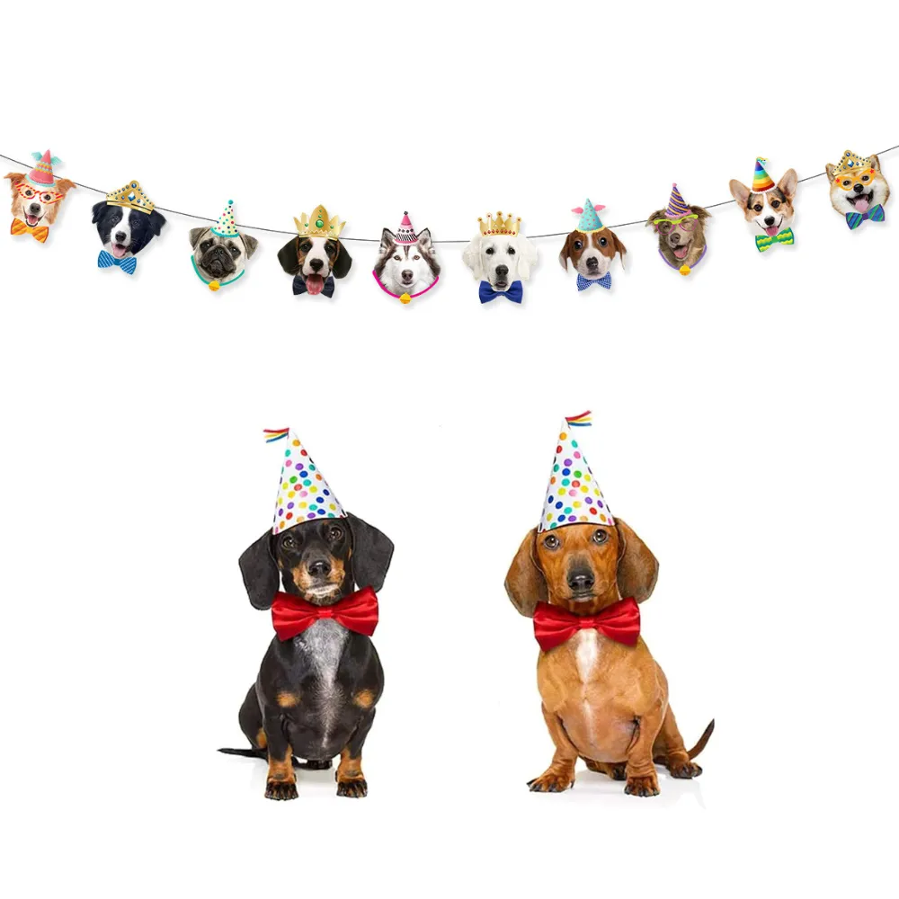 Pet Party Decoration Banner Pet Party Decoration Banner