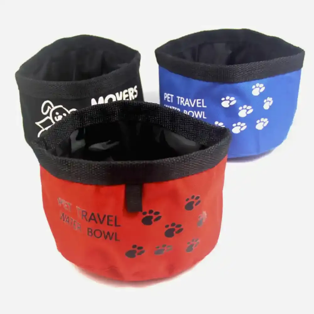 Portable Pet Bowl odm Portable Pet Bowl odm