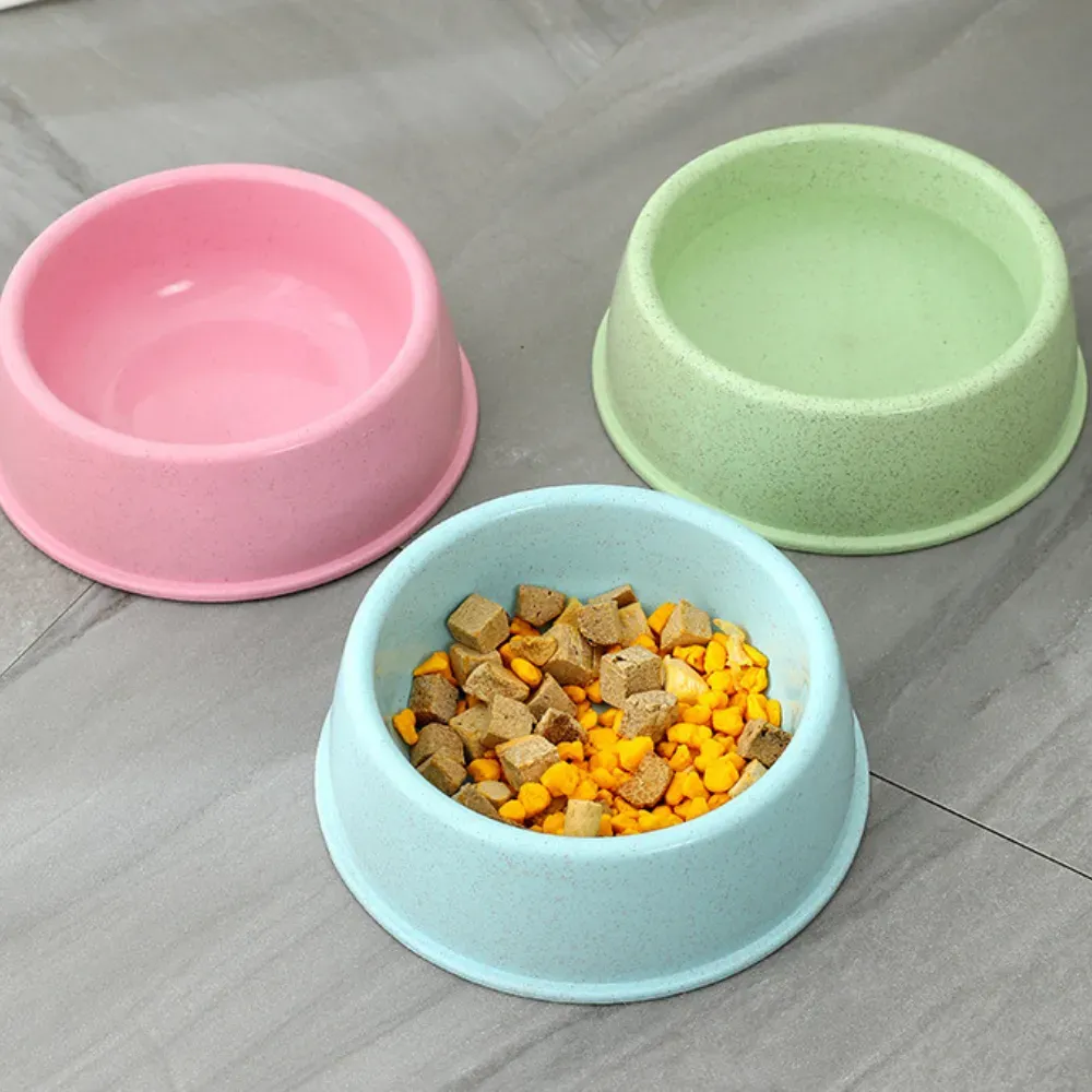 Cat Dog Food Bowls Cat Dog Food Bowls