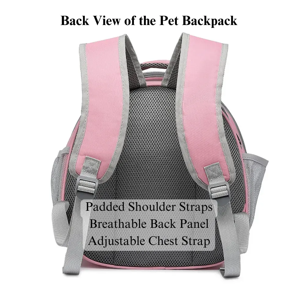 Adjustable Straps Transparent Pet Backpack