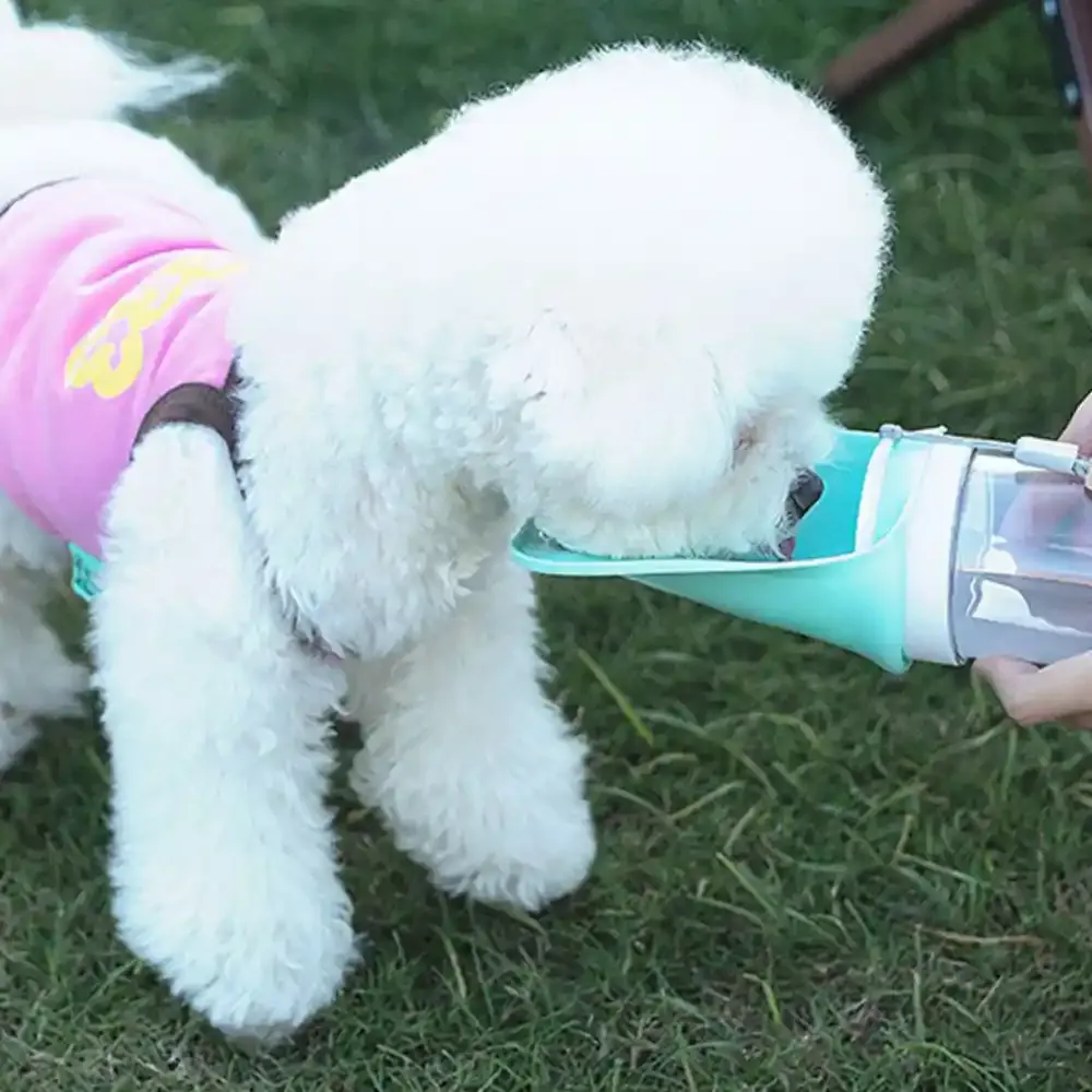 Pet Travel Cup Supplier