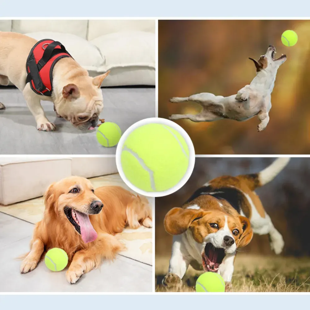 Great Tennis Ball Dog Toy New Great Tennis Ball Dog Toy New
