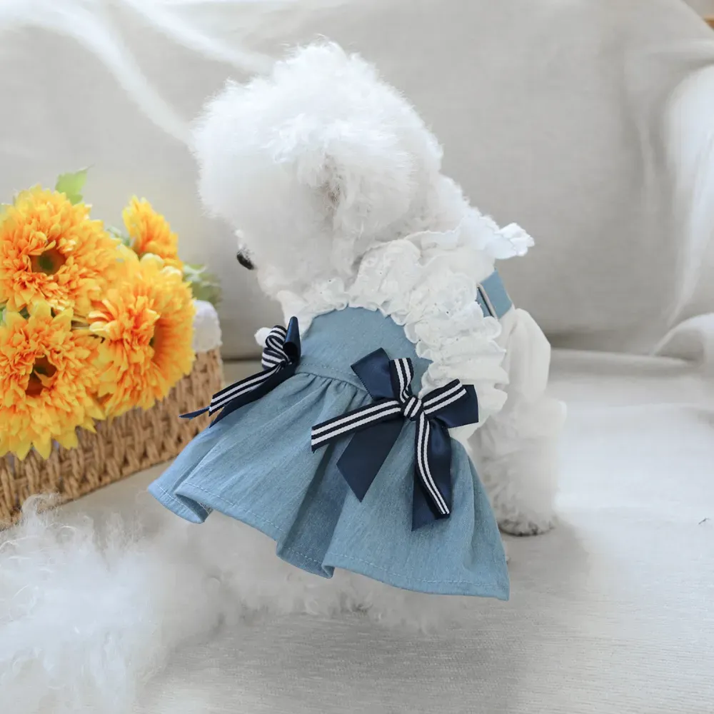 Stylish Denim Dog Dress Outfit for Small Breeds