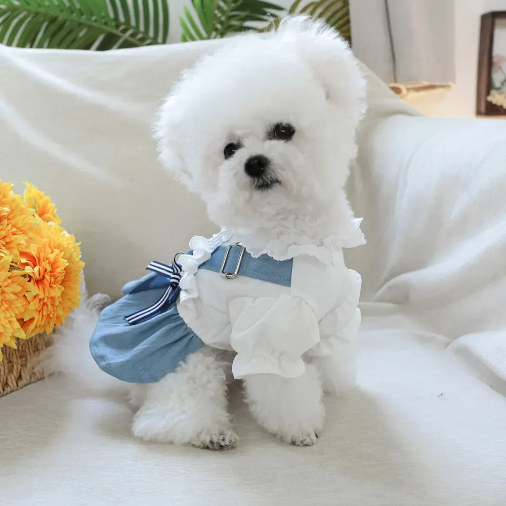 Stylish Denim Dog Dress Outfit for Small Breeds