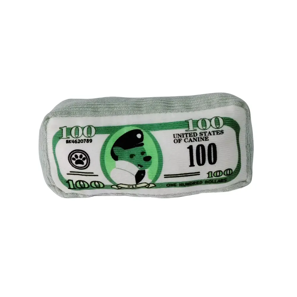 pet supply for dog