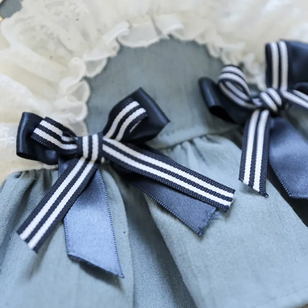 Stylish Denim Dog Dress Outfit for Small Breeds