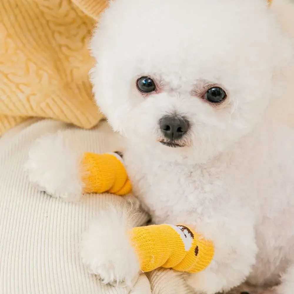 Hot Dog Socks