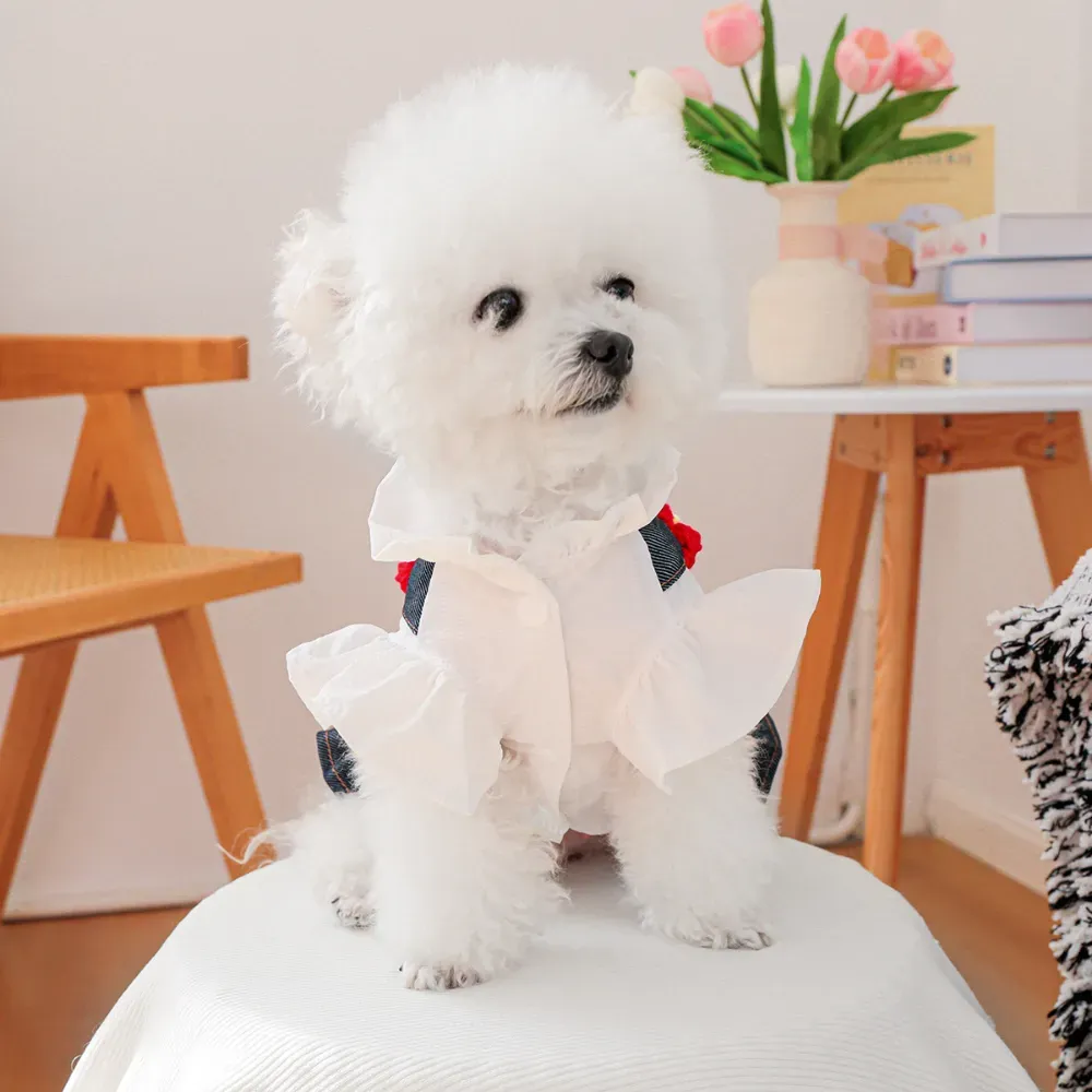 Breathable Little Red Flower Denim Dog Dress dog clothes Breathable Little Red Flower Denim Dog Dress