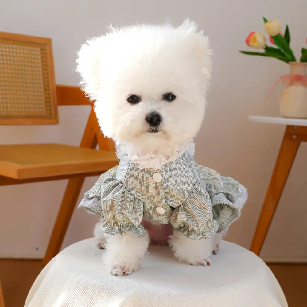 Lace Tulle Dress Flower Bowknot Dresses for Dogs dog clothes Lace Tulle Dress Flower Bowknot Dress for Dogs
