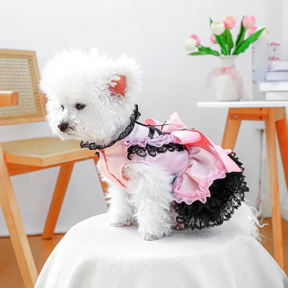 Blackberry Sweetheart Lace Tulle Dog Dress