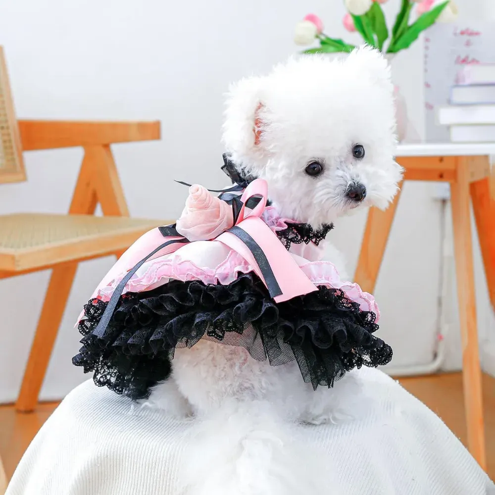 Blackberry Sweetheart Lace Tulle Dog Dress