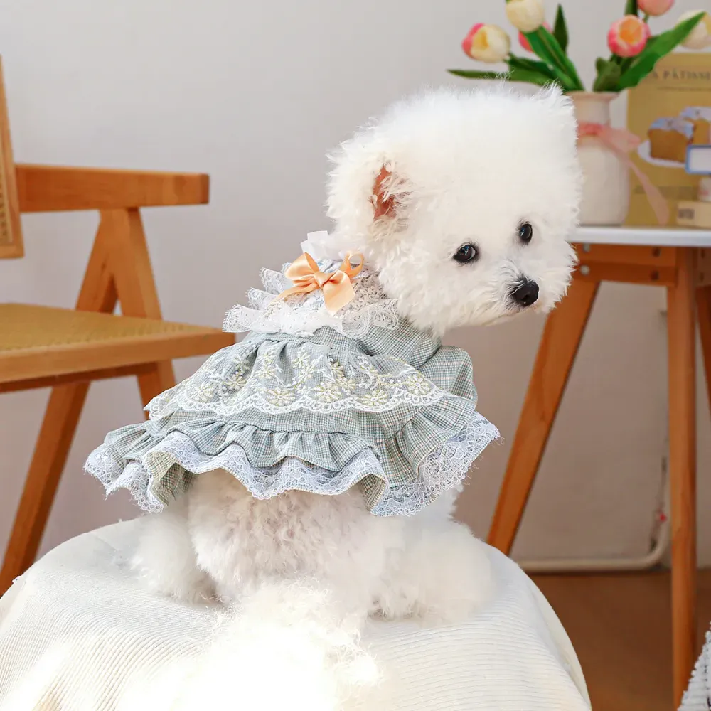 Lace Tulle Dress Flower Bowknot Dresses for Dogs dog apparel Lace Tulle Dress Flower Bowknot Dress for Dogs