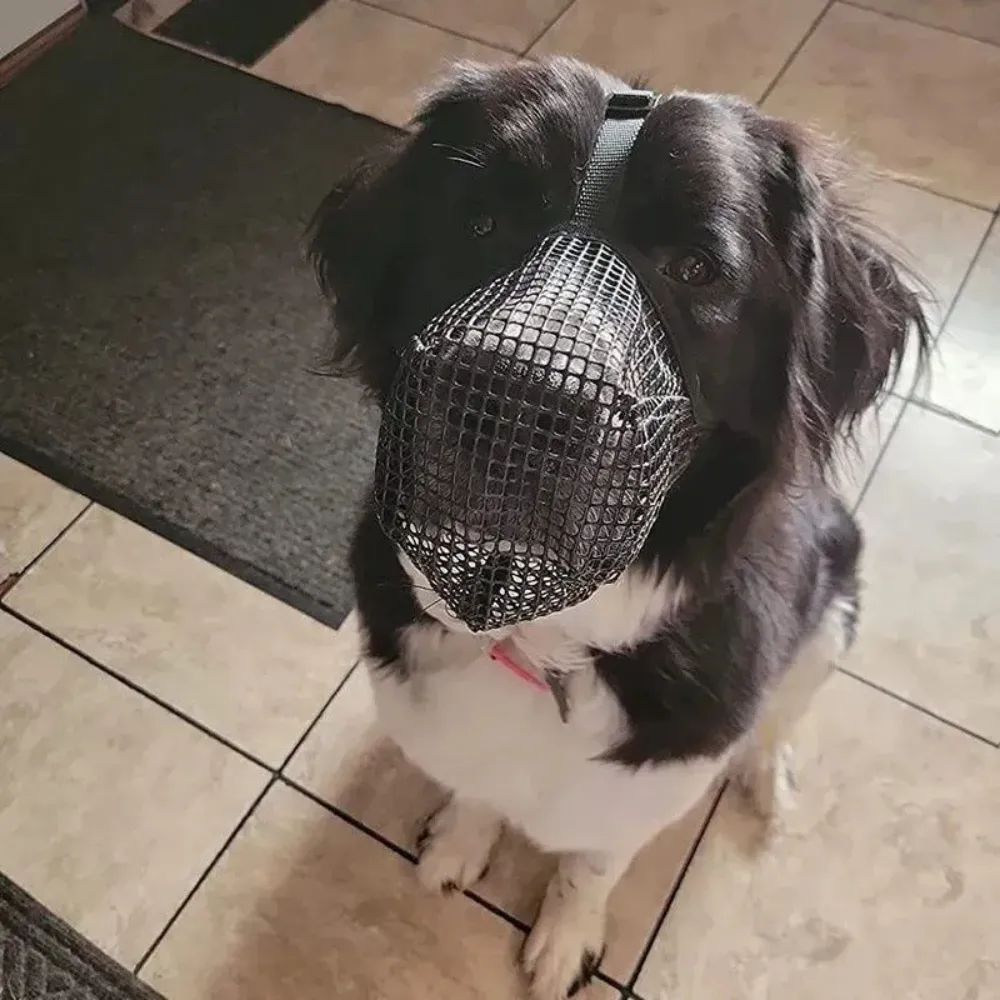 Durable Comfortable Mesh Dog Muzzle