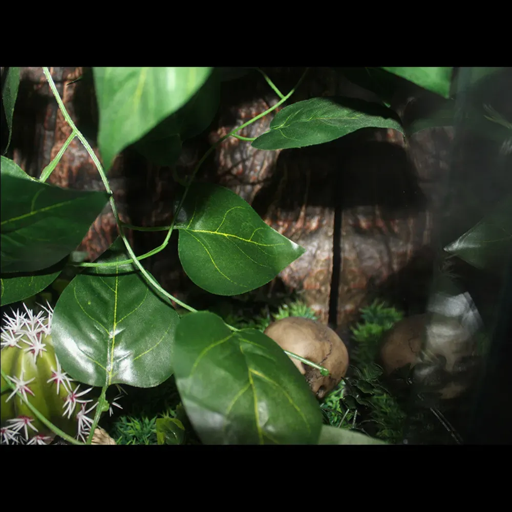 Jungle vines for pet habitat terrariums