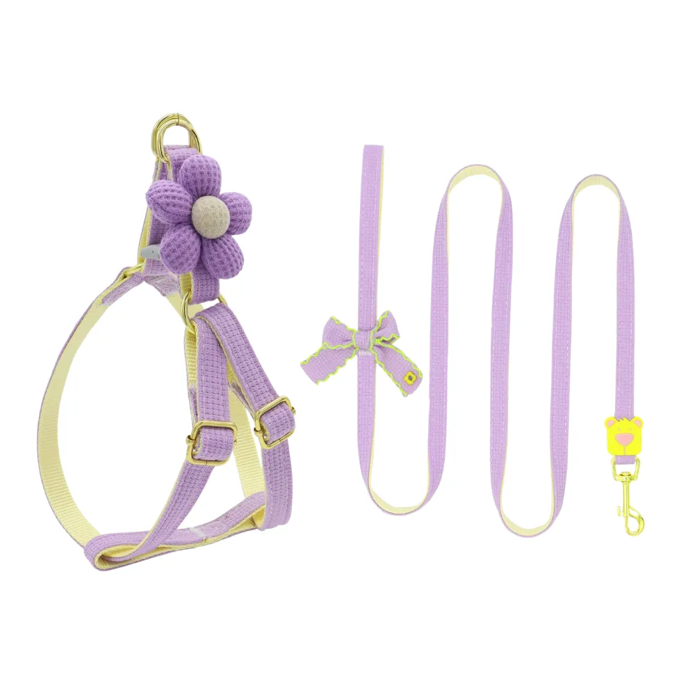 Purple Dog Leash and Harness Set