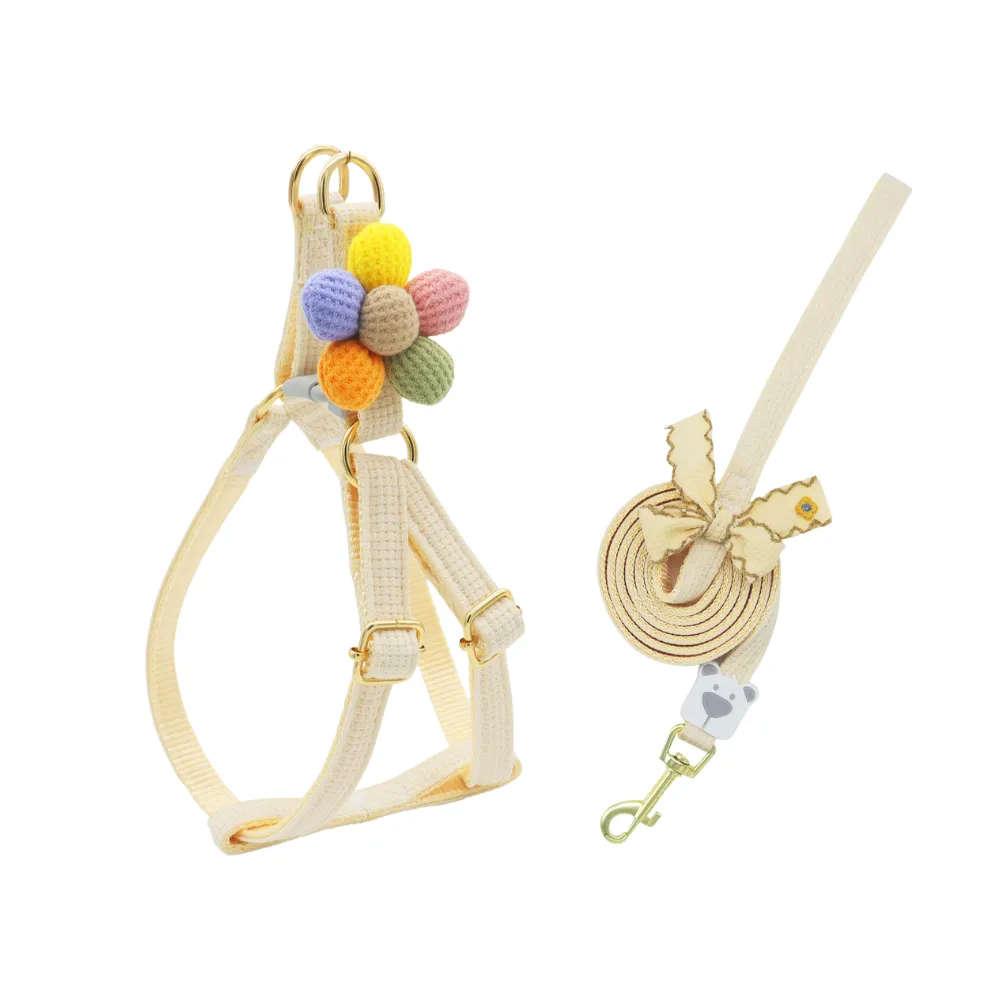 Floral Decorated Dog Leash