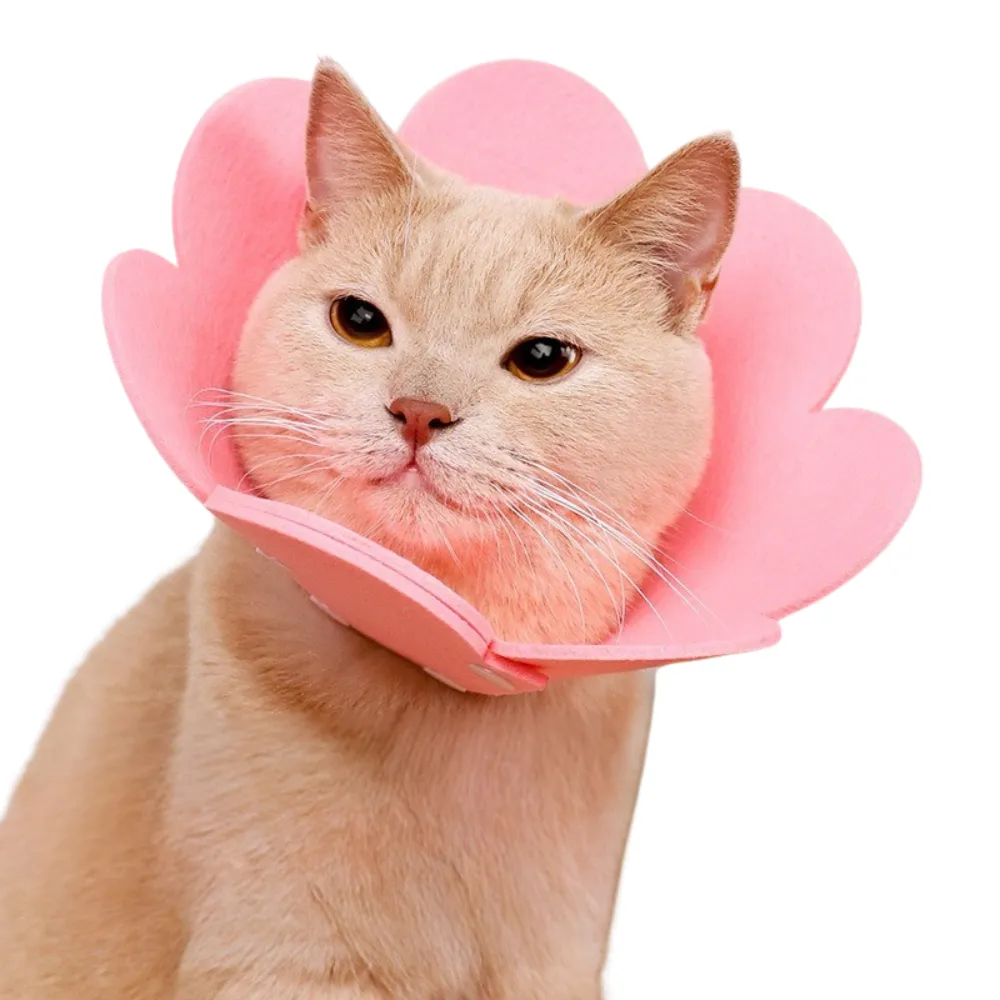 Cat Elizabeth Collar Cat Elizabeth Collar