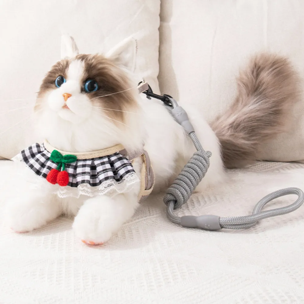 sweet lace puppy leash