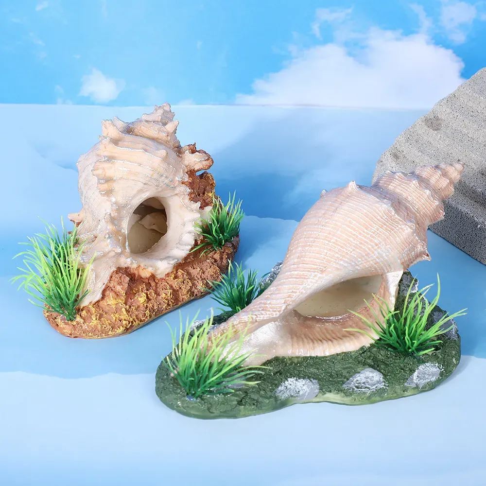 Easy-to-place shell decor for tanks and terrariums