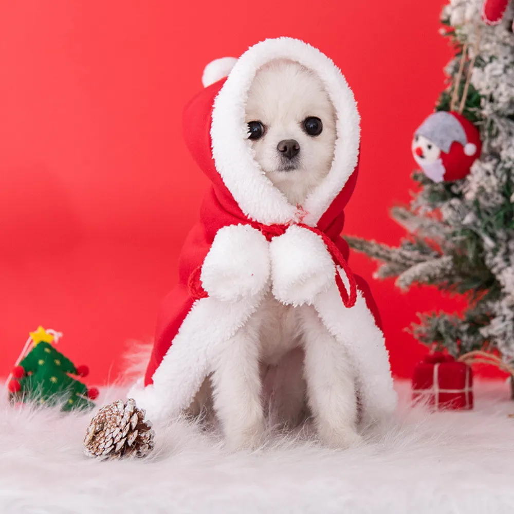 Pet Christmas Outfit