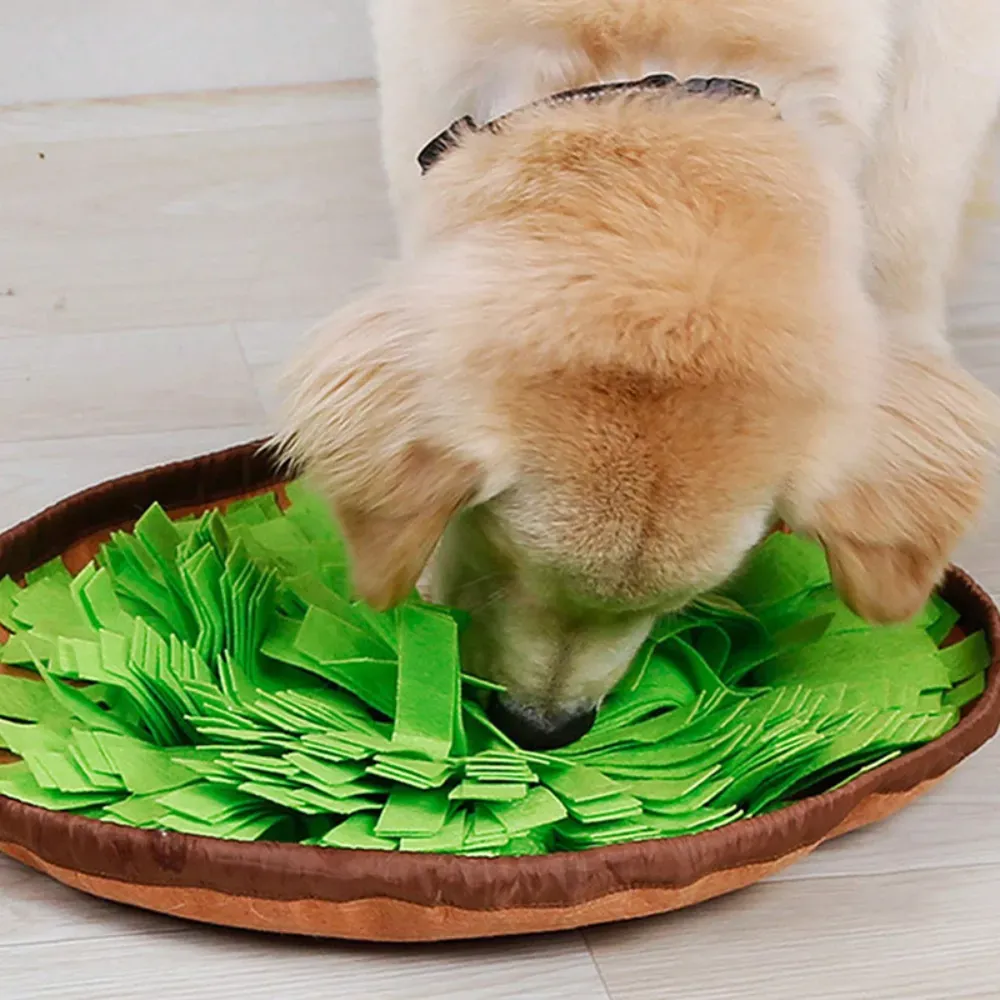 New Dog Snuffle Mat