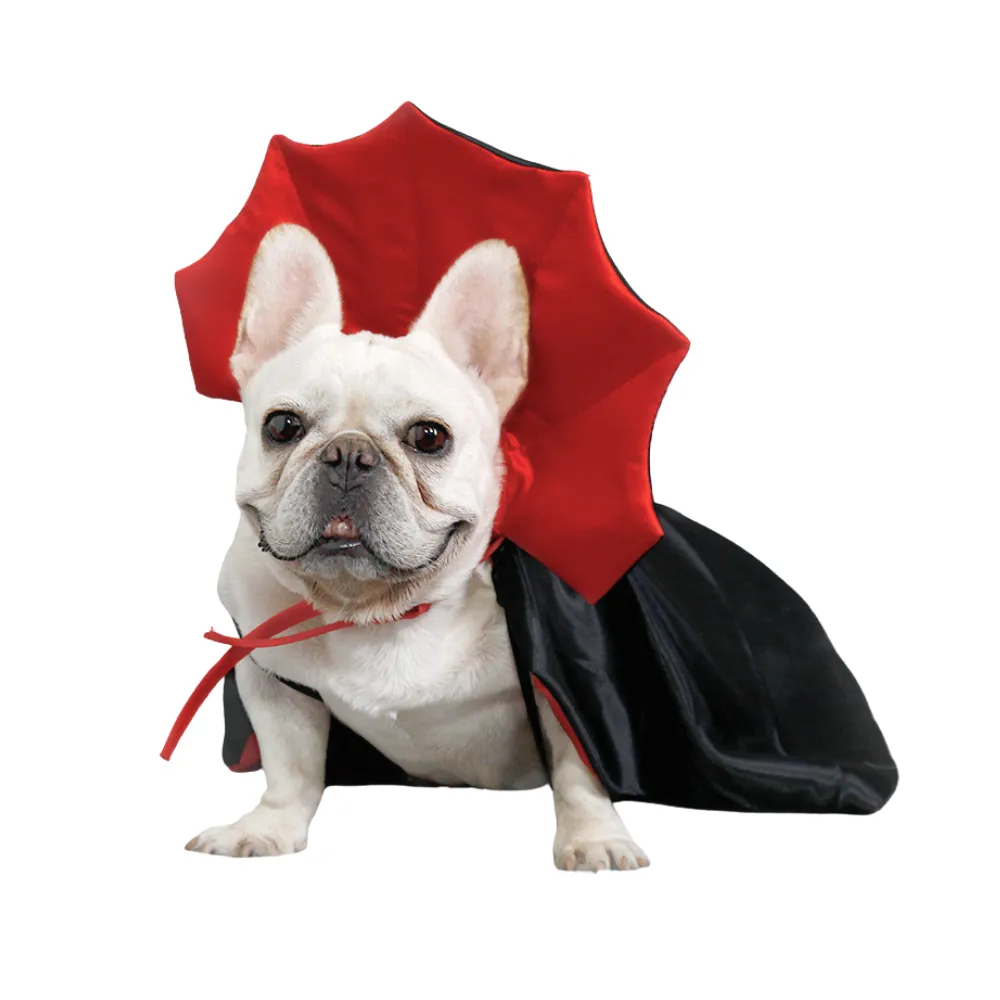 Dog Wizard Cape
