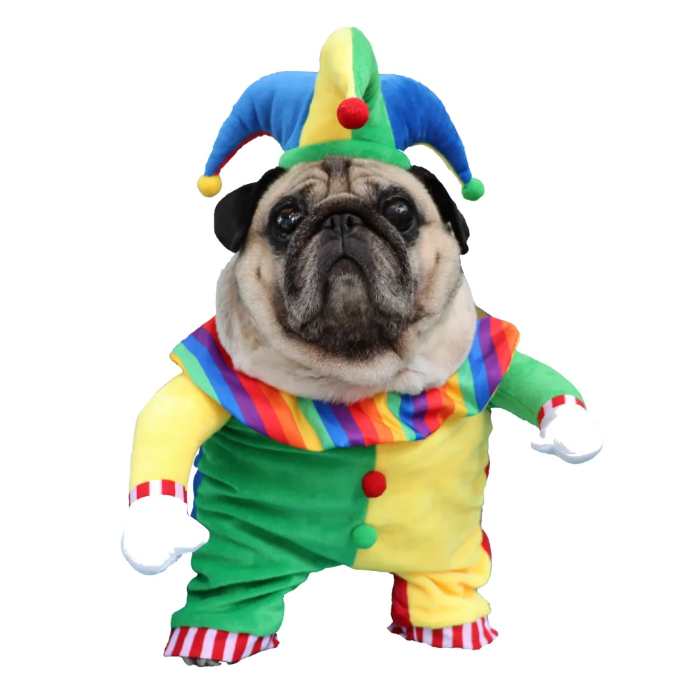 Funny Clown Pet Halloween Outfit Funny Clown Pet Halloween Outfit