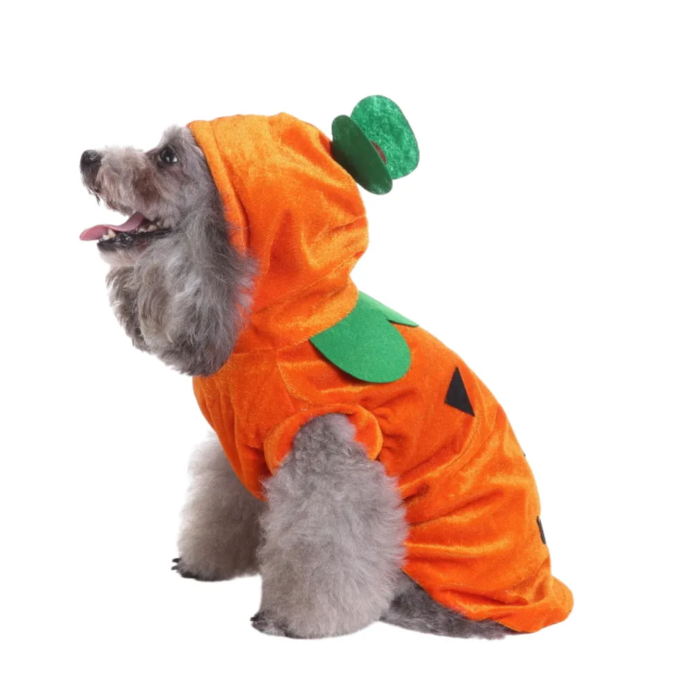 Halloween Dog Hoodie Outfit