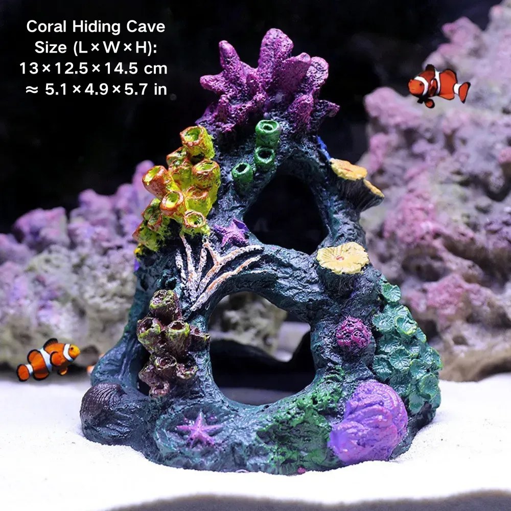 Low maintenance decor that supports tank aesthetics