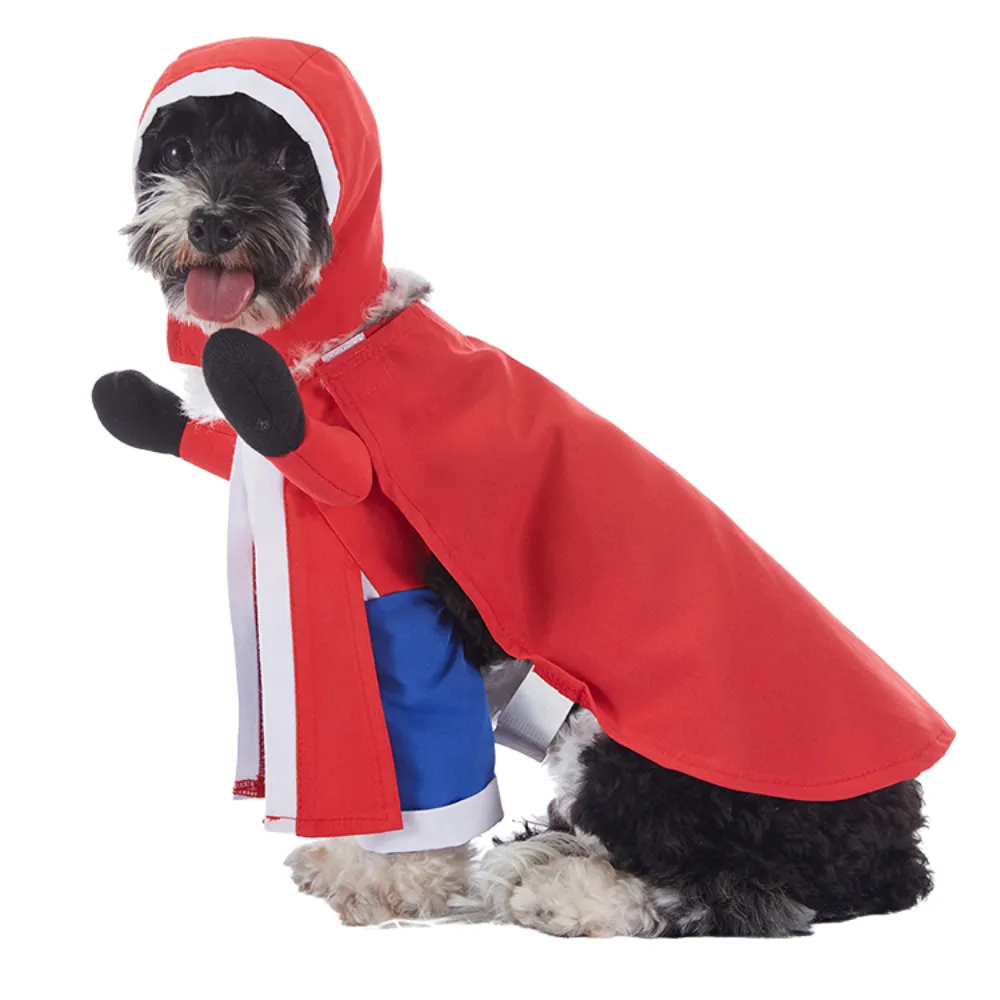 Cute Pet Outfit