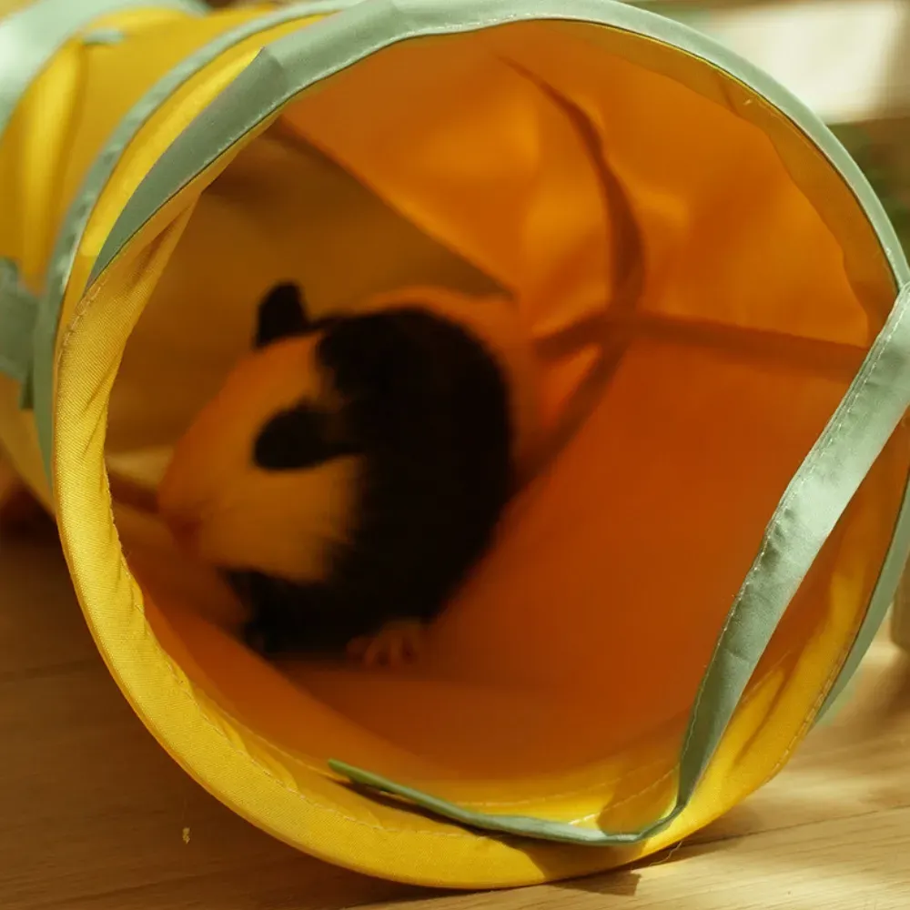 breathable tunnel for pets folding tunnel for pets