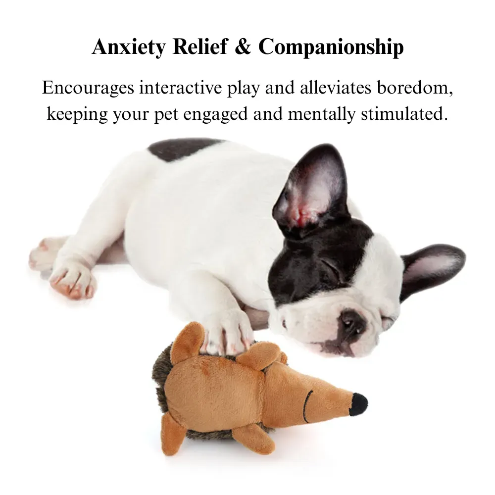 dog play toy plush