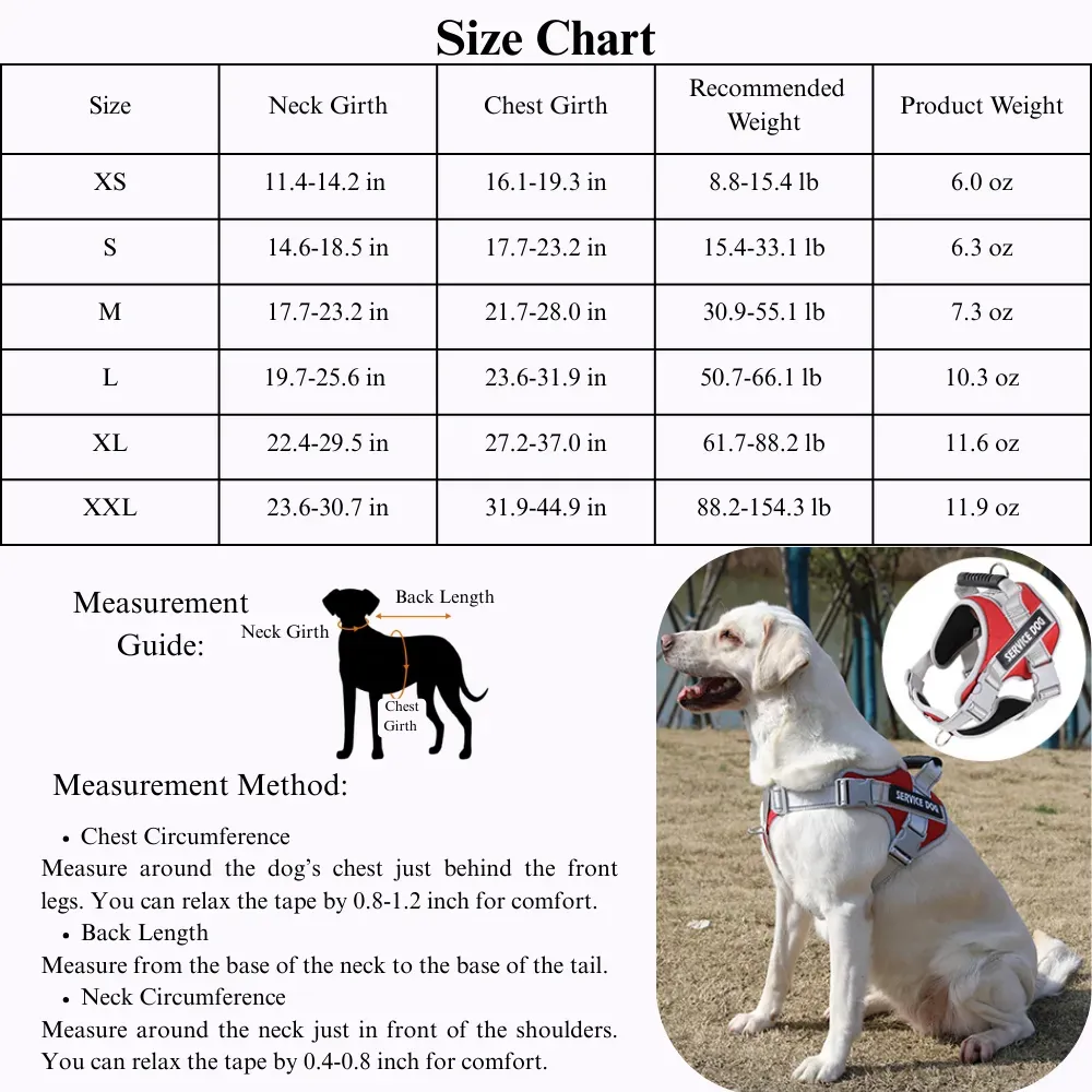labrador walking harness