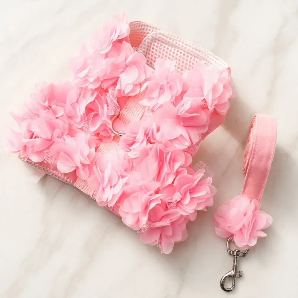 cat harness with leash dog harness for poodle