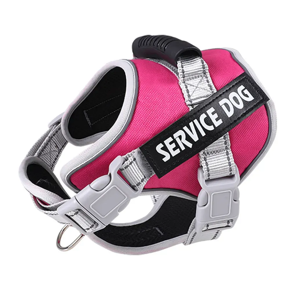 outdoor dog leash set