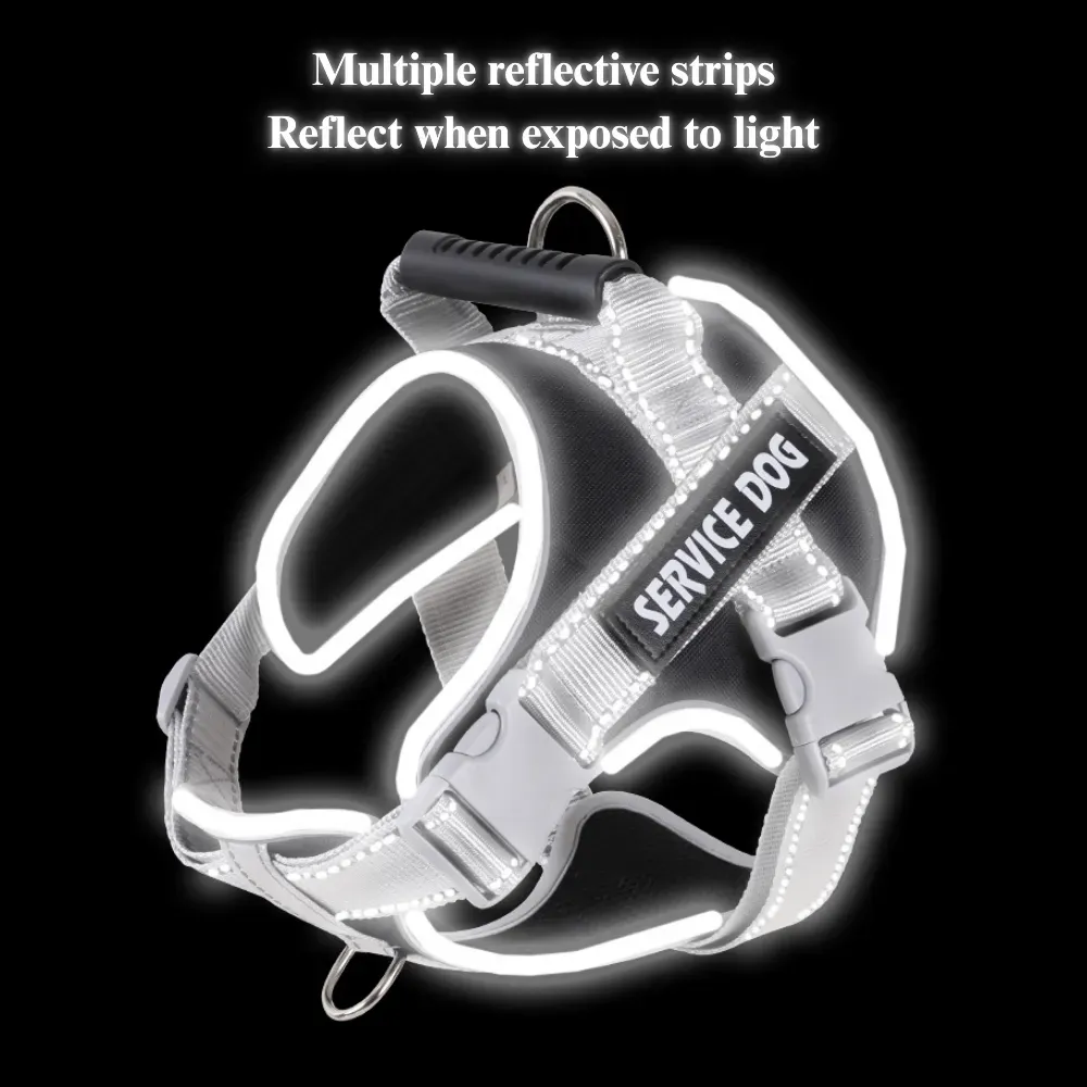 training harness for dogs