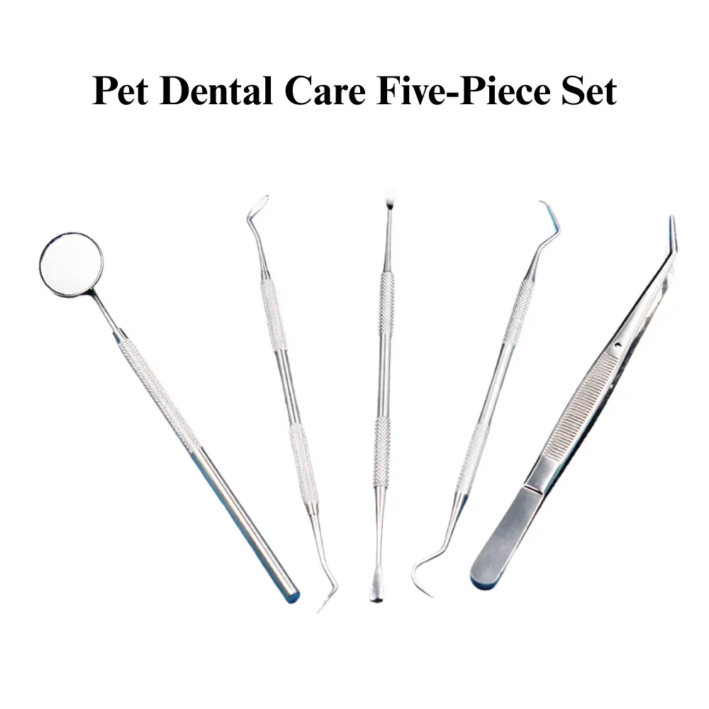 pet tartar scraper
