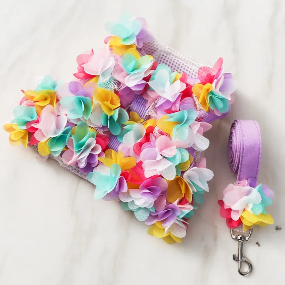 spring dog harness