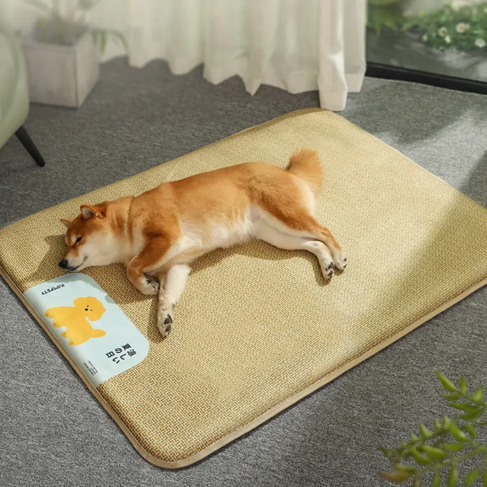 sponge filled pet pad