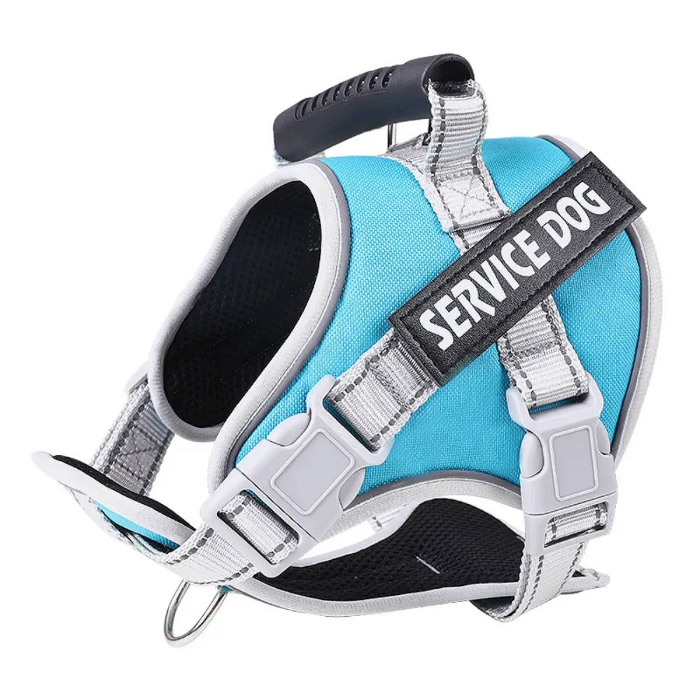 puppy harness and leash